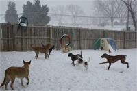 daycare pic 127 - winter fun